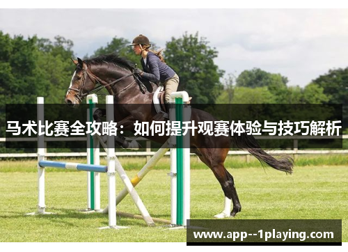 马术比赛全攻略:如何提升观赛体验与技巧解析 马术比赛全攻略:如何提升观赛体验与技巧解析