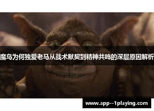 魔鸟为何独爱老马从战术默契到精神共鸣的深层原因解析 魔鸟为何独爱老马从战术默契到精神共鸣的深层原因解析