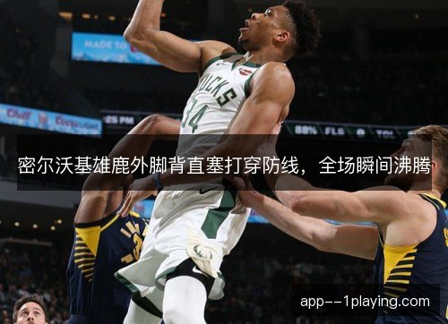 密尔沃基雄鹿外脚背直塞打穿防线，全场瞬间沸腾